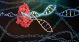 Prof Dr. İnanç Özgen “Genetik devrim hızla ilerliyor.” dedi.