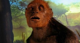 Sahelanthropus tchadensis yerde ve ağaçlarda dik yürüyordu.
