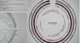 Prof. Dr. ÖMÜR BAYSAL’dan Bitkileri Global Isınma ve Biotik Stres’in Etkilerinden Koruyacak Önemli Buluş