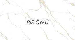 HASTANE ÖNÜ İNCİR AĞACI