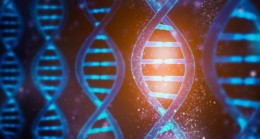 BENZER YÜZLÜ İNSANLAR BENZER DNA DİZİLİMİNE Mİ SAHİP?