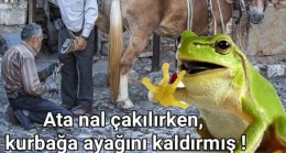 Nal mı Suçlu, yoksa At mı, yoksa ayağını kaldıran Kurbağa mı?