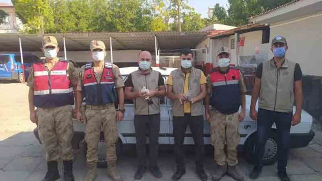 Bitlis Adilcevaz’da Şahin Kuşu Avı Yapan İki Şüpheli Yakalandı