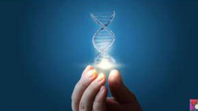 CRISPR teknikleri  sineklerle mücadelede kullanılmaya başlandı.