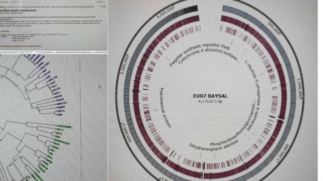 Prof. Dr. ÖMÜR BAYSAL’dan Bitkileri Global Isınma ve Biotik Stres’in Etkilerinden Koruyacak Önemli Buluş