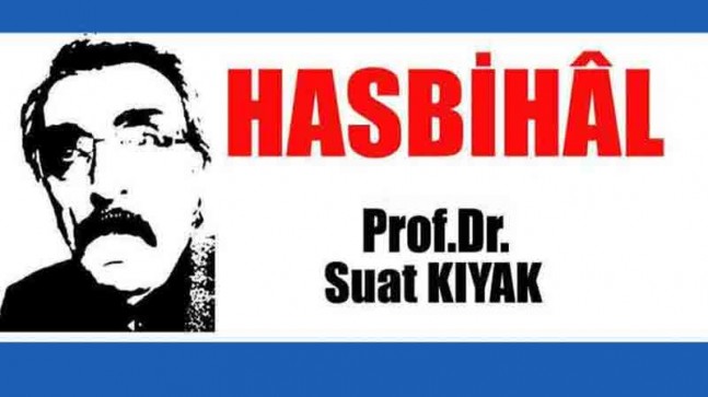 Arılar ve sinekler…