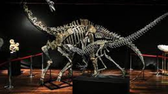 Dinozorları ve dünyadaki diğer yaşamı ne öldürdü?