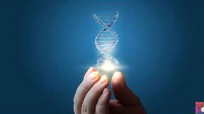CRISPR teknikleri  sineklerle mücadelede kullanılmaya başlandı.