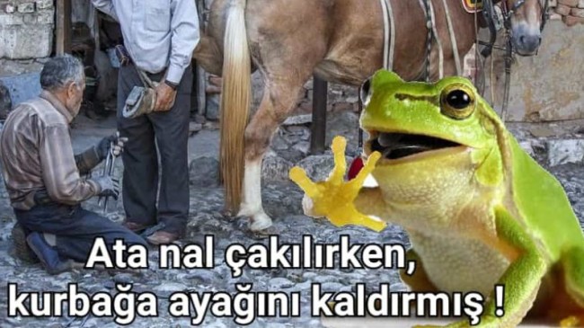 Nal mı Suçlu, yoksa At mı, yoksa ayağını kaldıran Kurbağa mı?