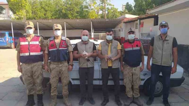 Bitlis Adilcevaz’da Şahin Kuşu Avı Yapan İki Şüpheli Yakalandı