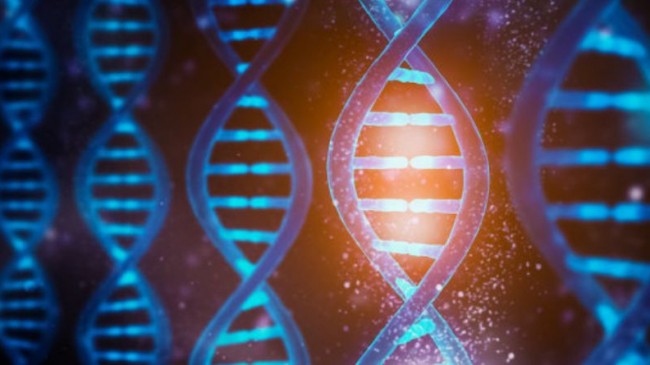 BENZER YÜZLÜ İNSANLAR BENZER DNA DİZİLİMİNE Mİ SAHİP?