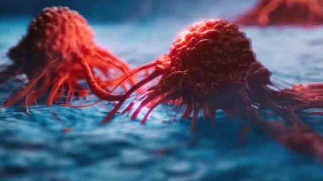 Türk Bilim İnsanları, Karaciğer Kanseri Tedavisinde Etkili Olan Yeni Bir Molekül Keşfetti ! sağlık haberleri