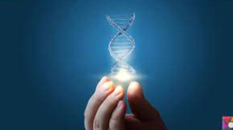 CRISPR teknikleri sineklerle mücadelede kullanılmaya başlandı.