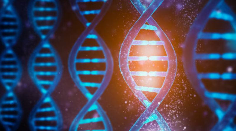 BENZER YÜZLÜ İNSANLAR BENZER DNA DİZİLİMİNE Mİ SAHİP?